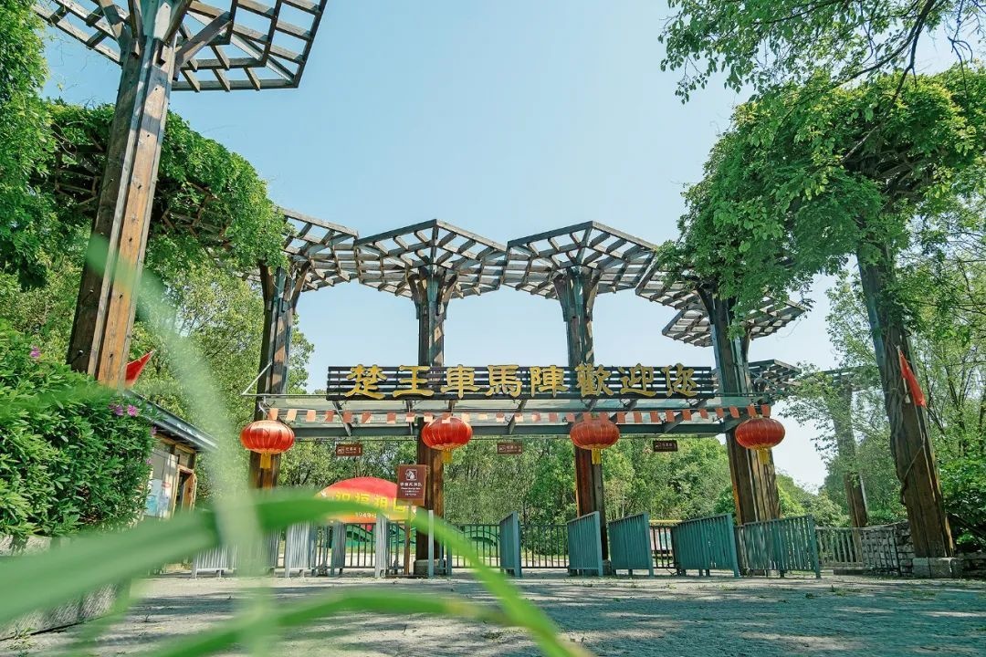 Chu King's Chariot and Horse Formation Scenic Area